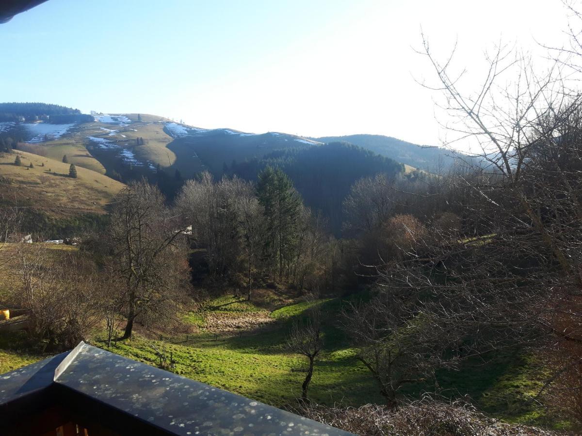 Frohnd Ferienhaus Schweissing מראה חיצוני תמונה